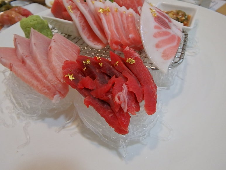 본참치 이미지