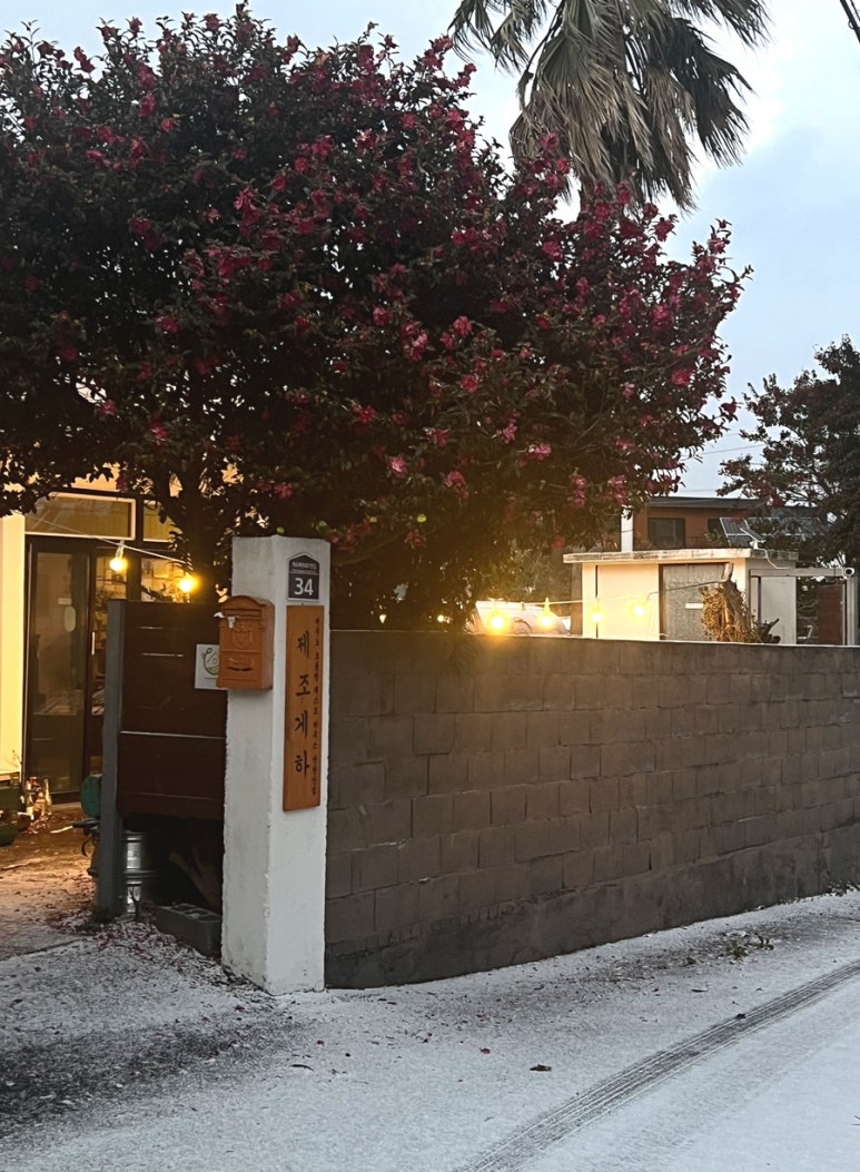 제주도조용한게스트하우스산방산점 이미지