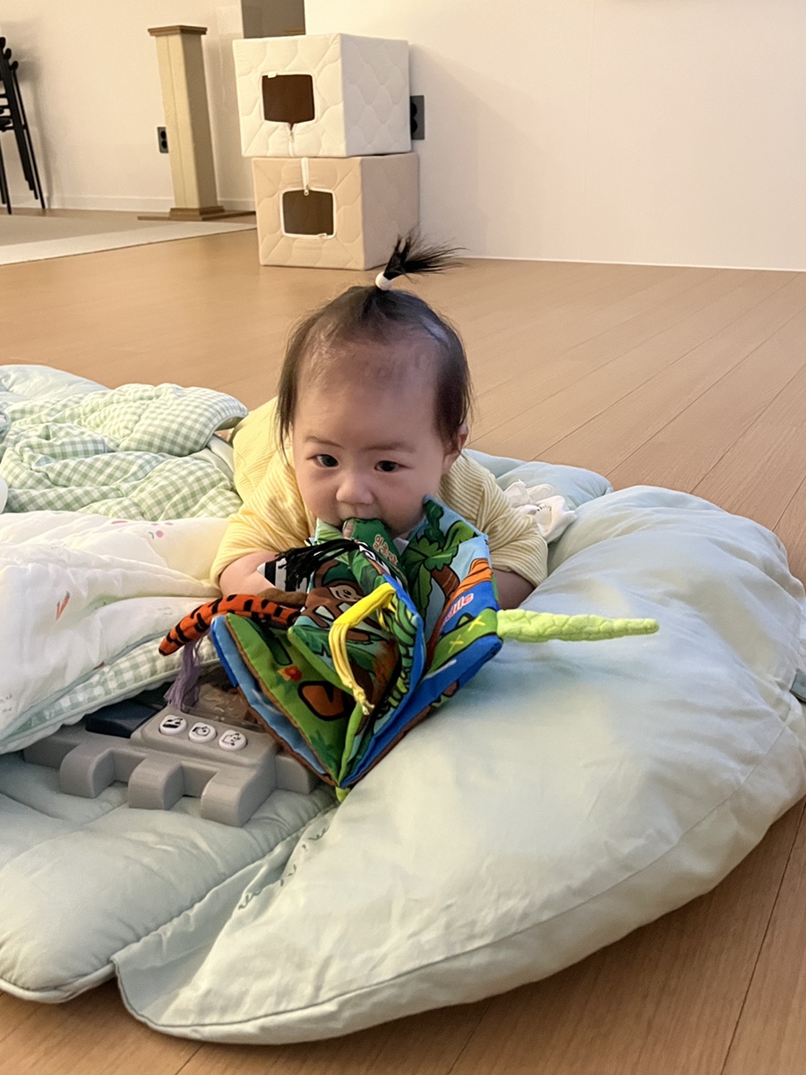 달성군장난감도서관 이미지