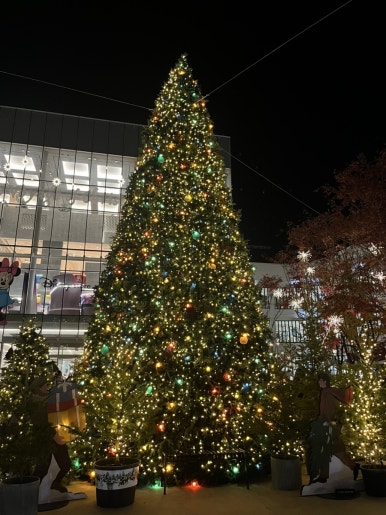 동경규동다산역점 이미지