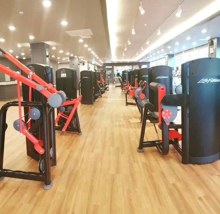 뉴바디휘트니스 이미지