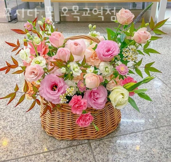 꼬시다;꽃 이미지