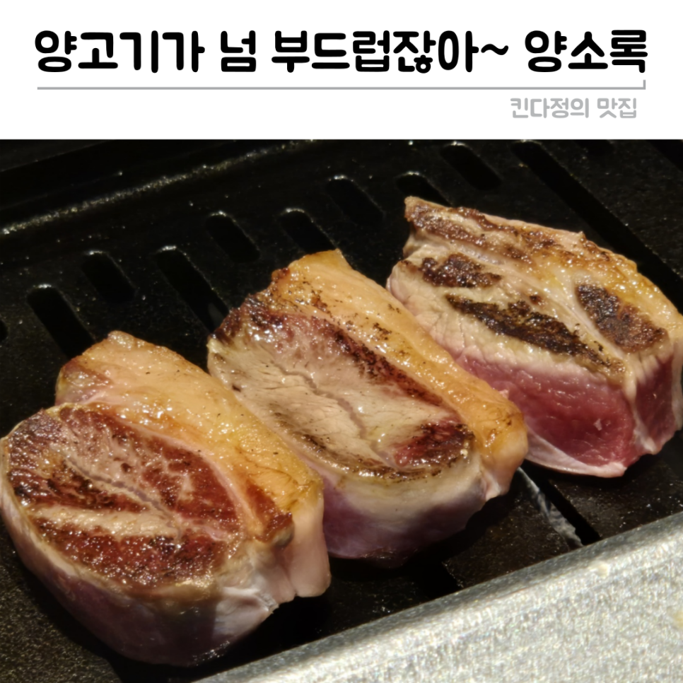 양소록 이미지