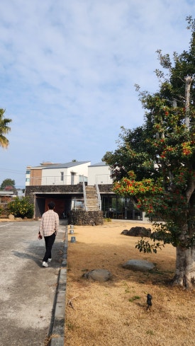 꽁떼네도르 이미지