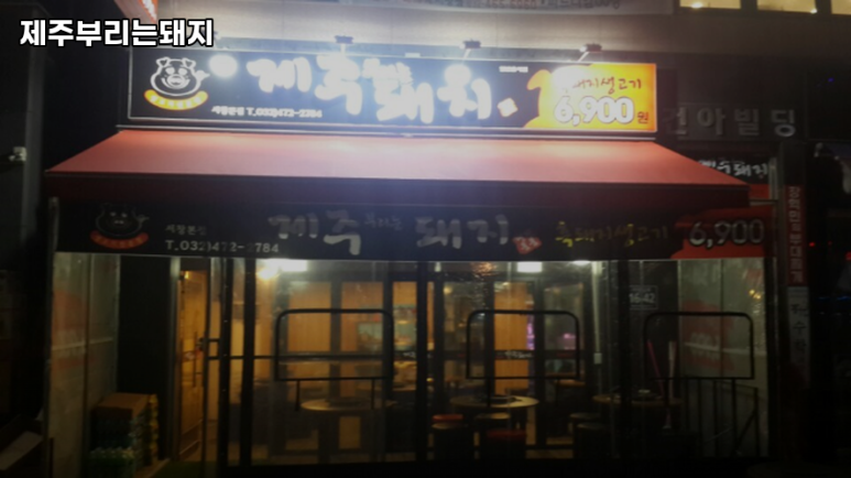제주부리는돼지 이미지