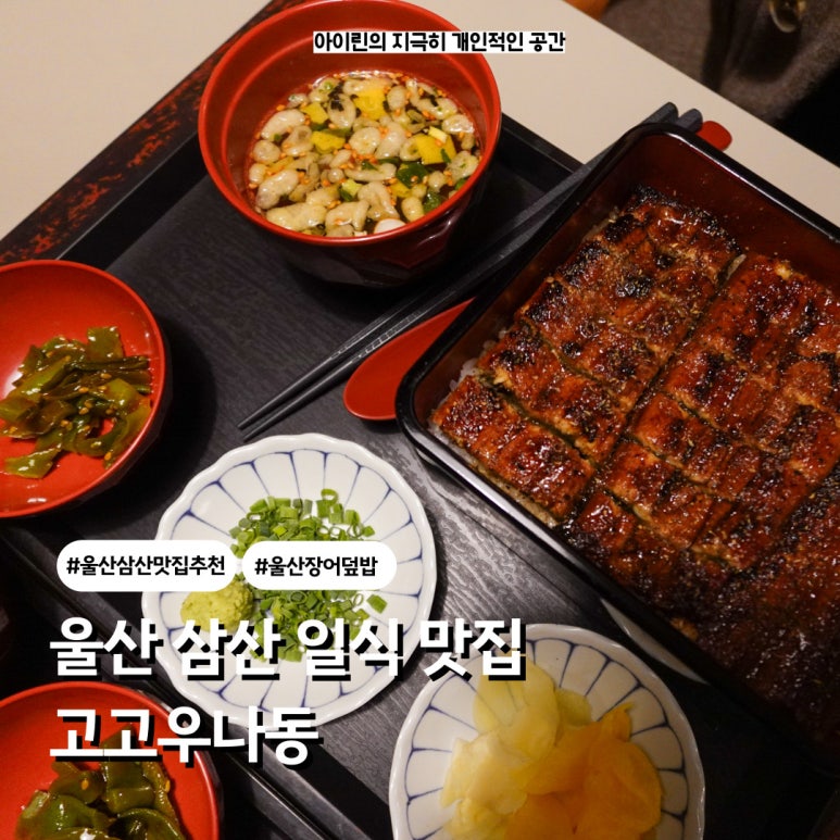 나동장어 이미지