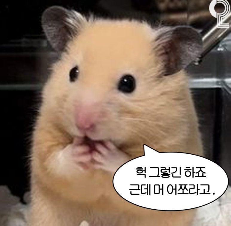 스윗케이크 이미지