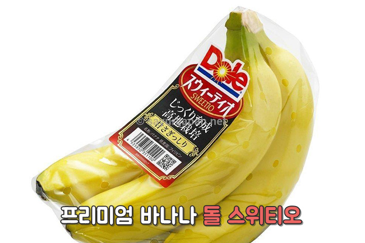 진차이 이미지