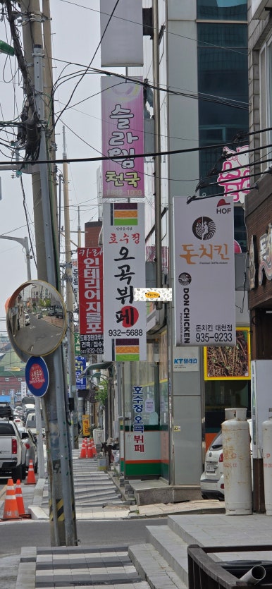 호수정 이미지