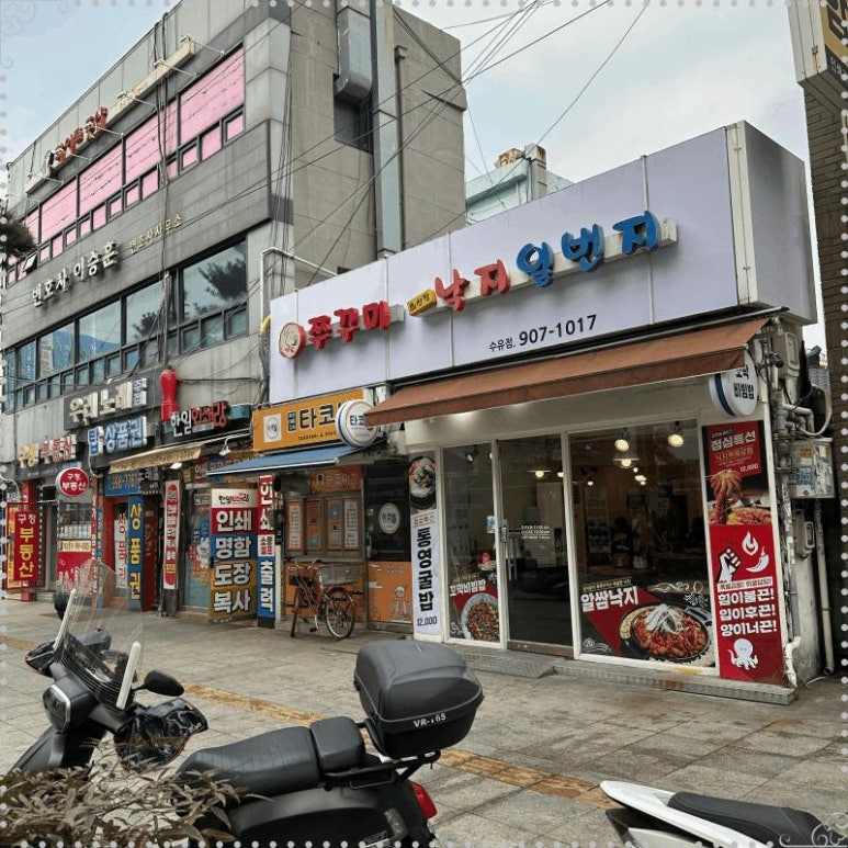 낙지일번지 이미지