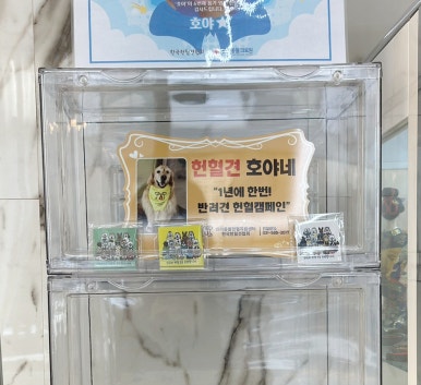고모샵 이미지