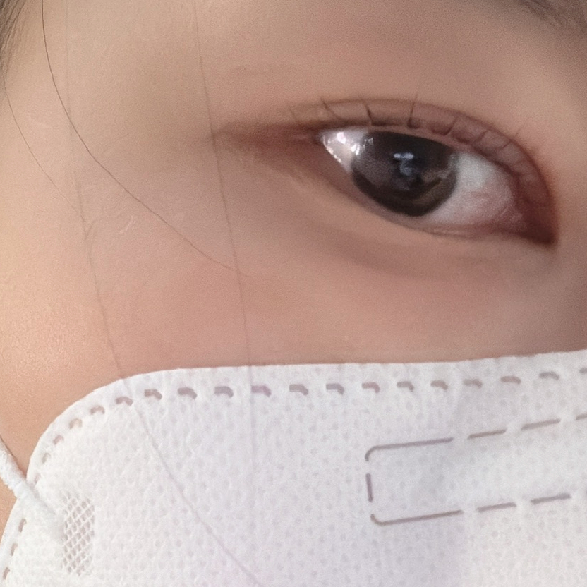 레빗브로우 이미지