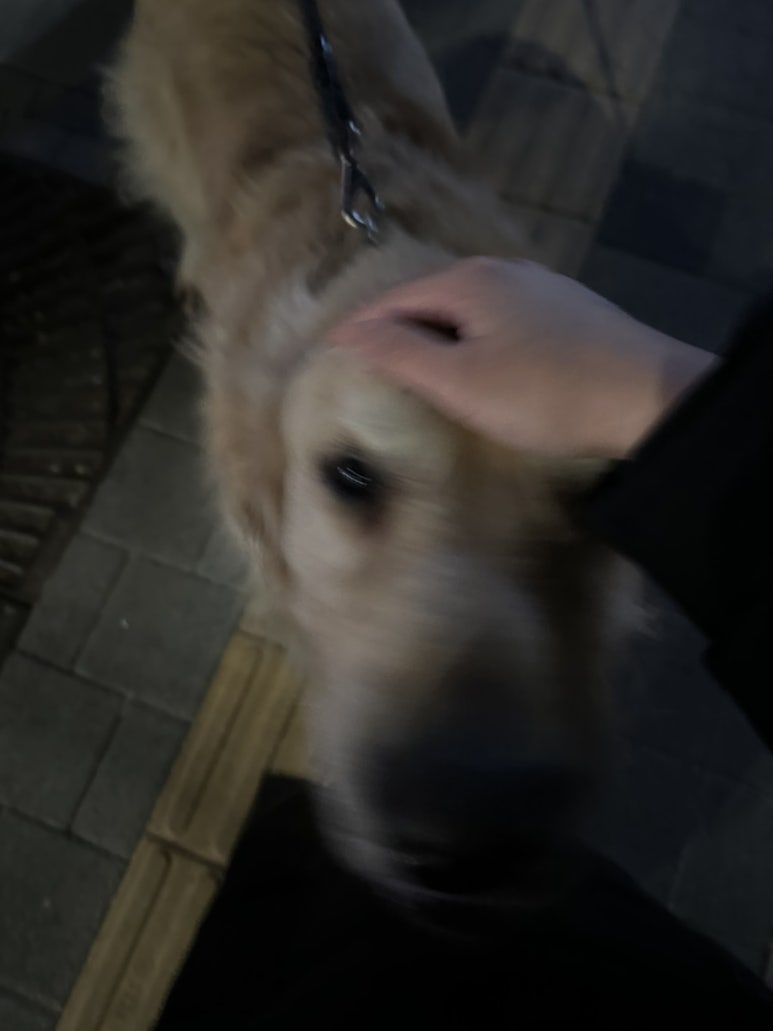 골뱅이닭컴 이미지