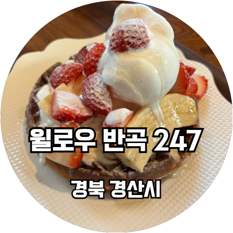 윌로우반곡247 이미지