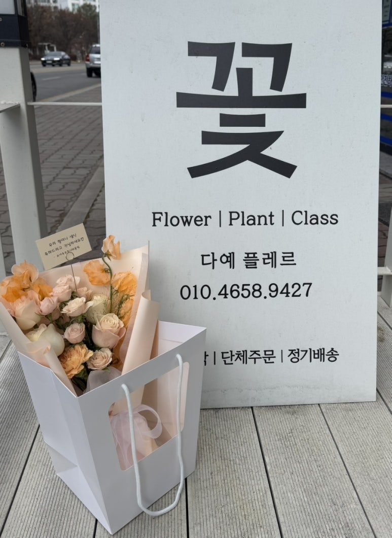 다예플레르 이미지
