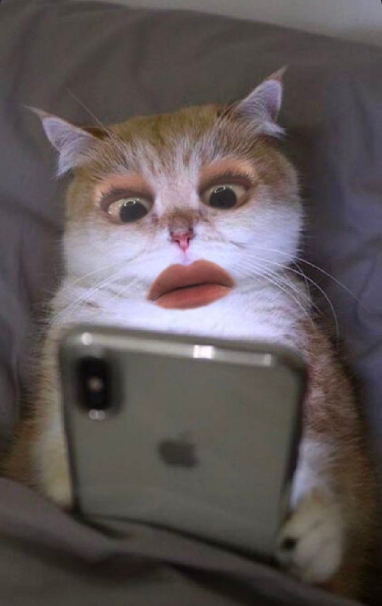 링키지 이미지