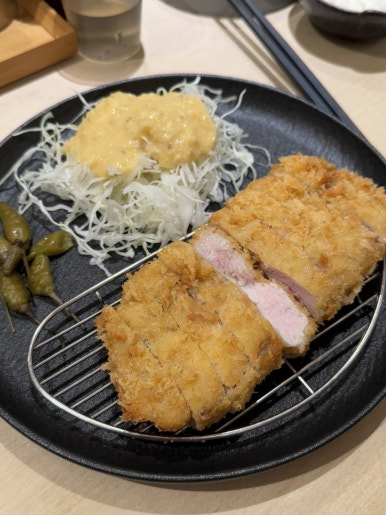 하시카츠 이미지