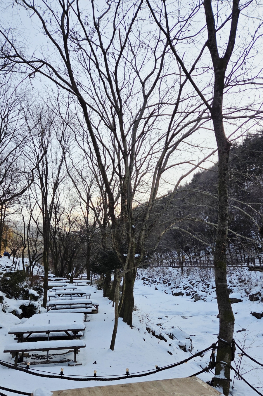 로뎅853-1 이미지