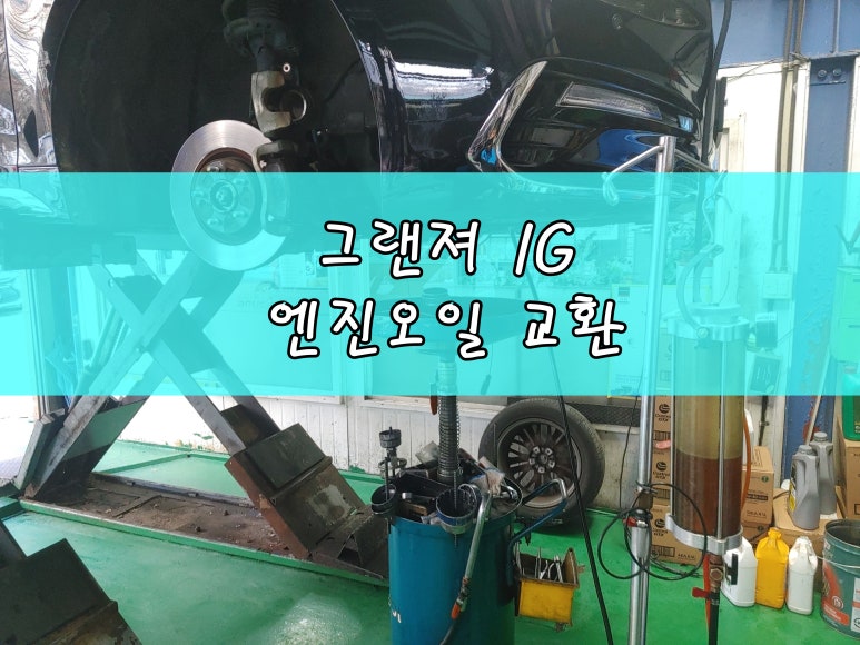 애니카랜드 이미지