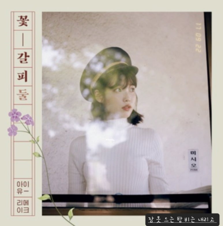 비아이유 이미지