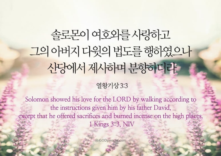 솔로몬공사 이미지