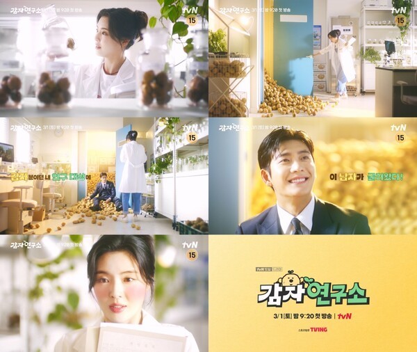 공감힐링연구소 이미지