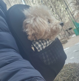모니드 이미지