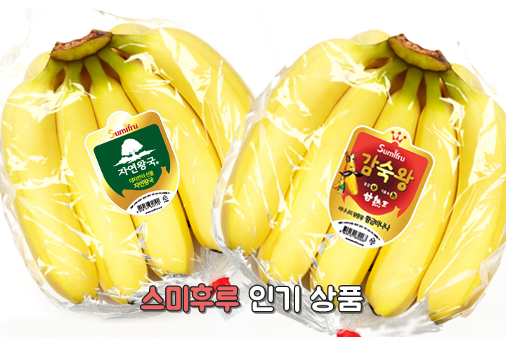 진차이 이미지