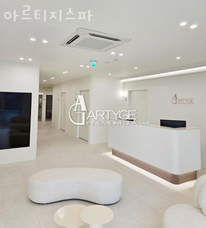 아르티지스파 이미지