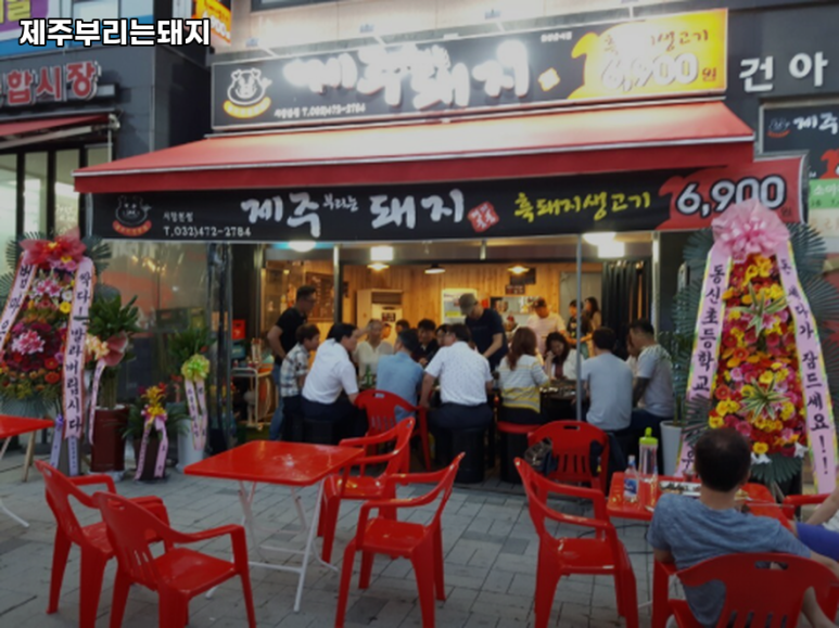 제주부리는돼지 이미지