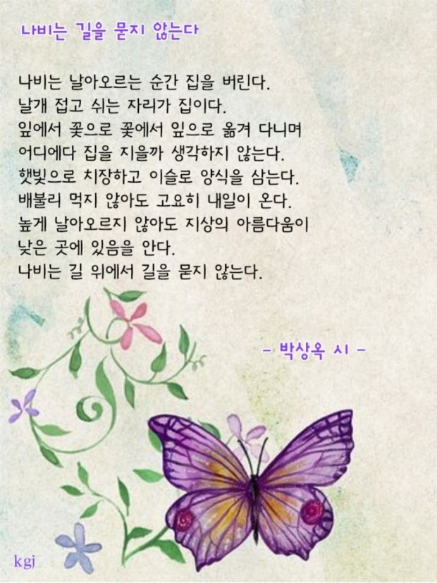 상옥 이미지