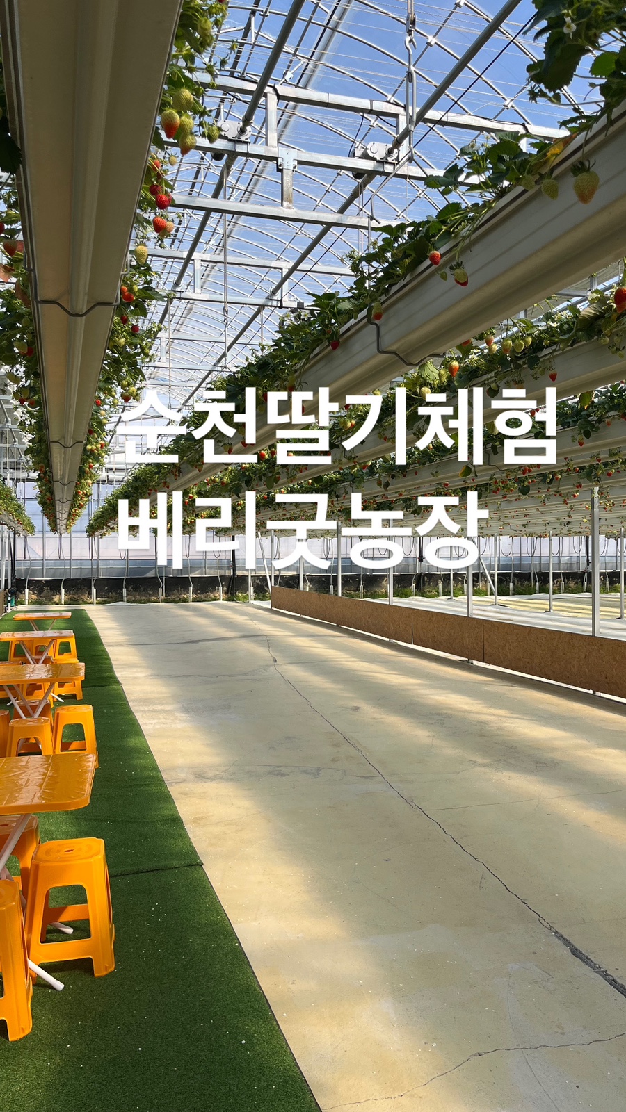 베리굿체험농장 이미지