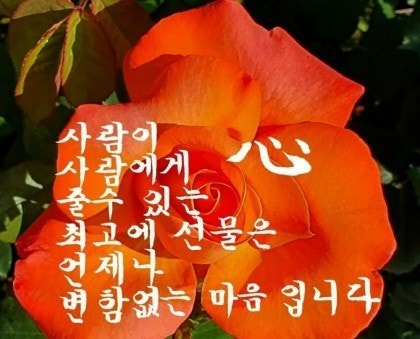 (주)좋은아침 이미지