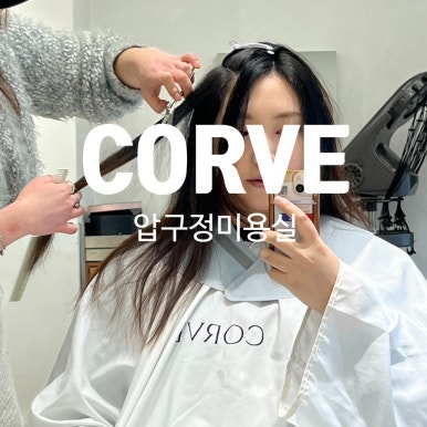 코르브(CORVE) 이미지