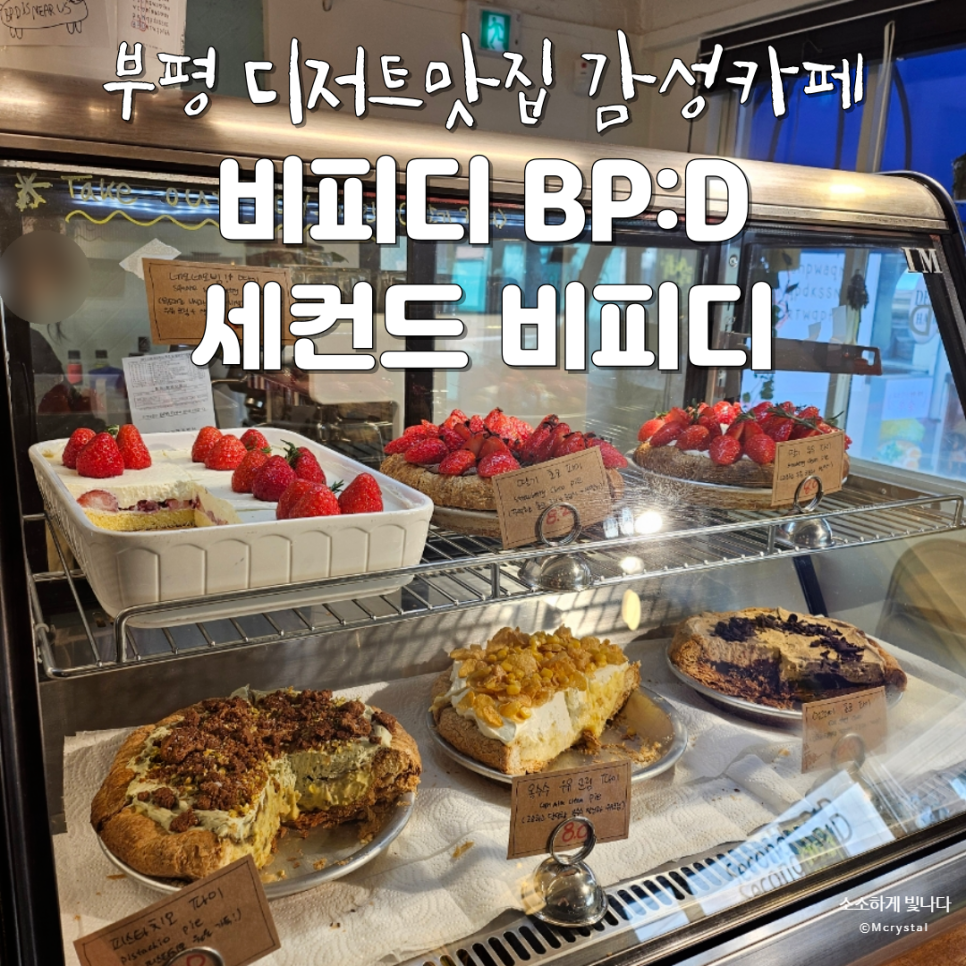 세컨드비피디 이미지