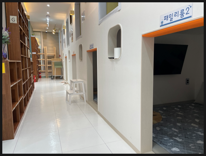 아이놀터 이미지