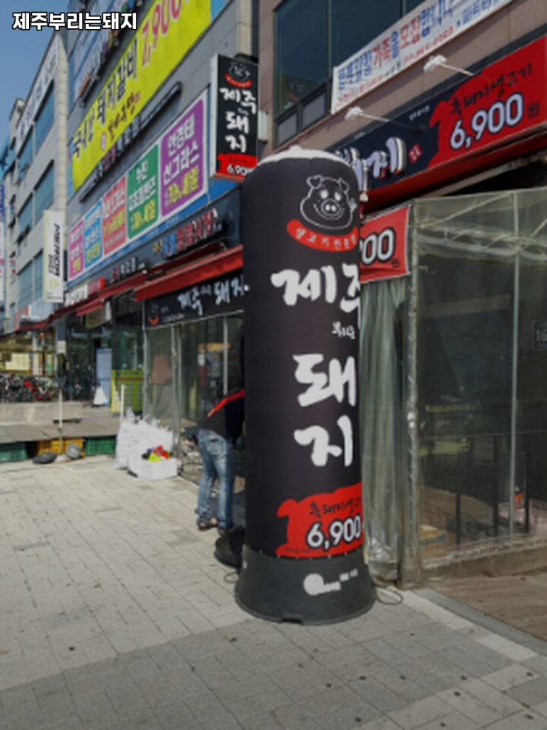 제주부리는돼지 이미지