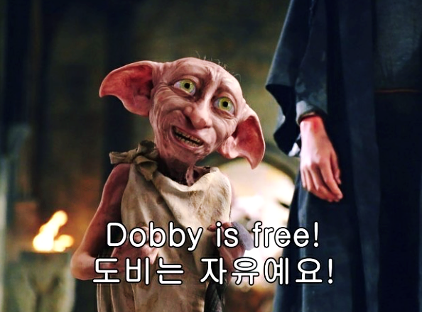 도비의선물 이미지