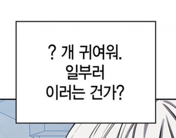 레드랫 이미지