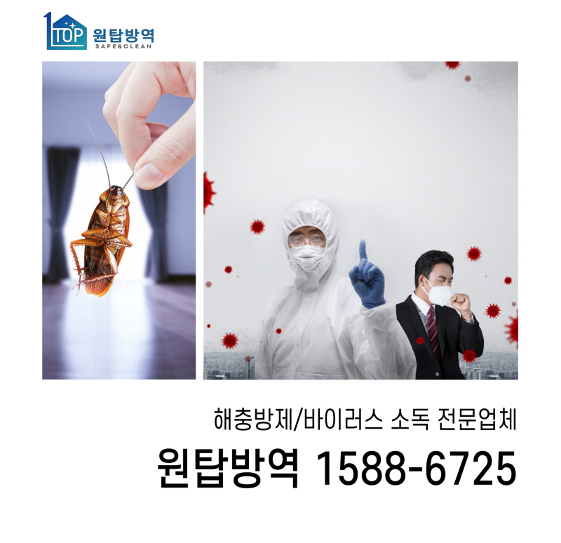 원탑방역 이미지