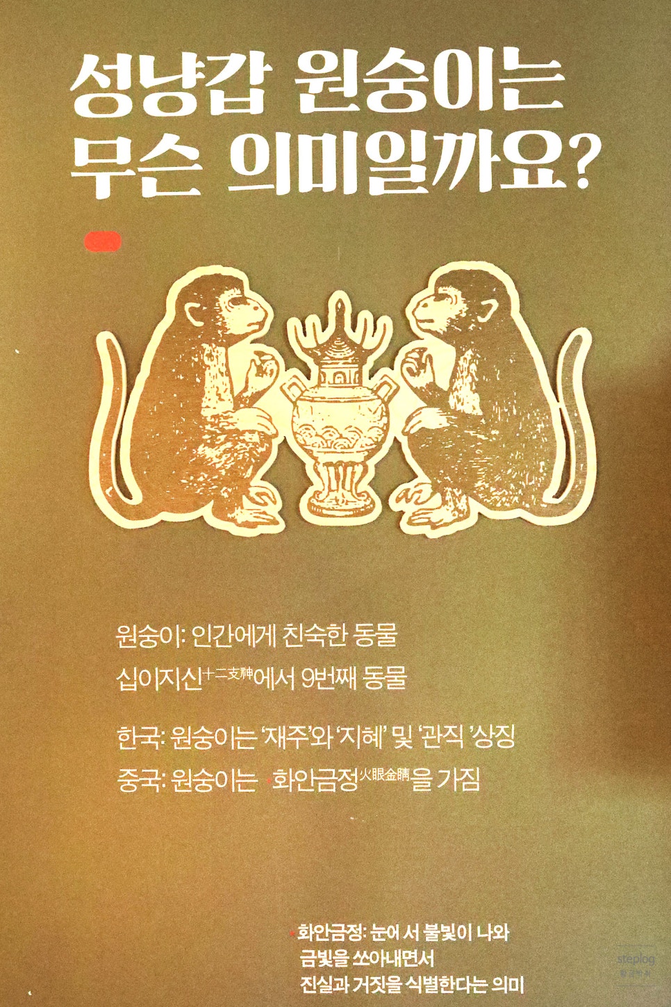 한일다실 이미지