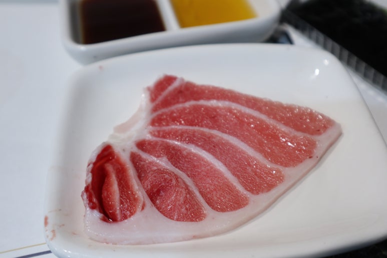 본참치 이미지