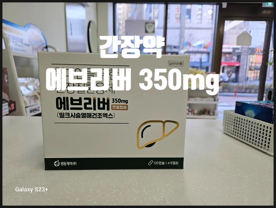 브리버 이미지