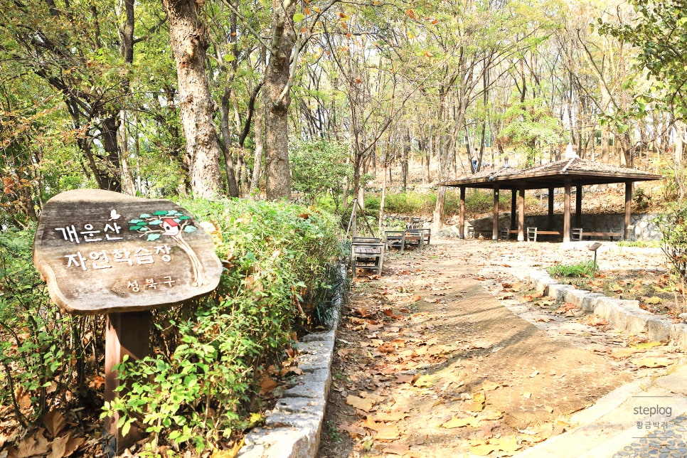 개운산 자연학습장 이미지