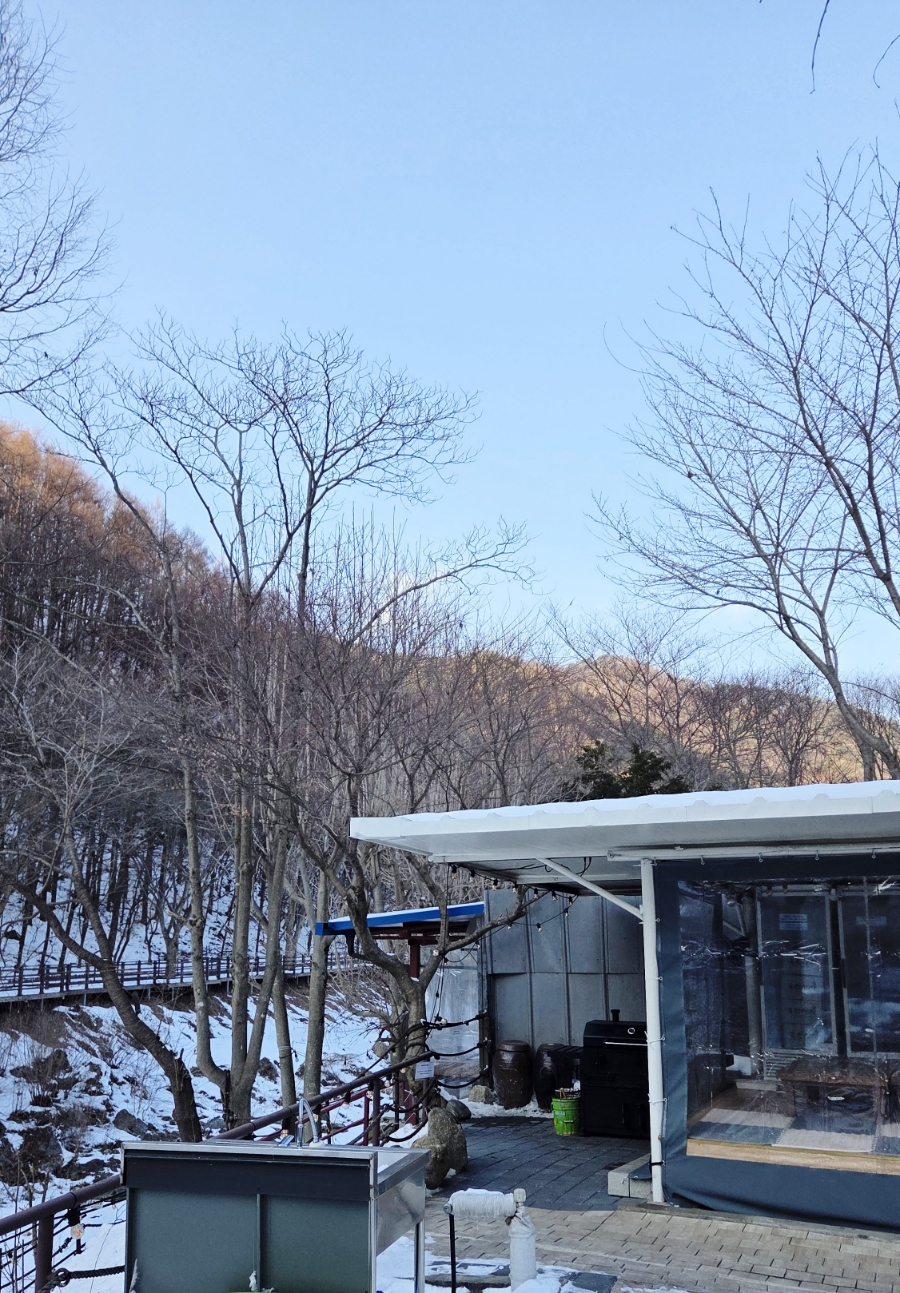 로뎅853-1 이미지