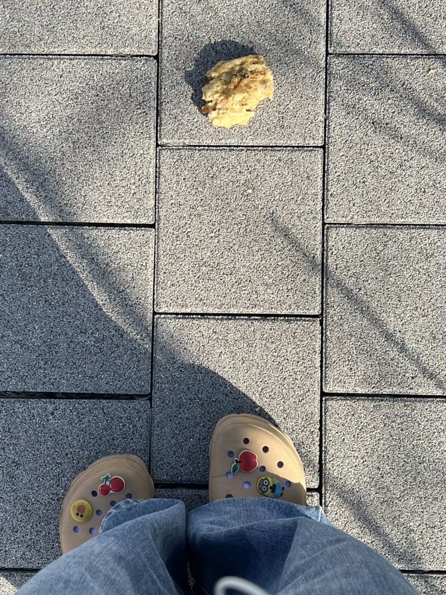 썬재 이미지