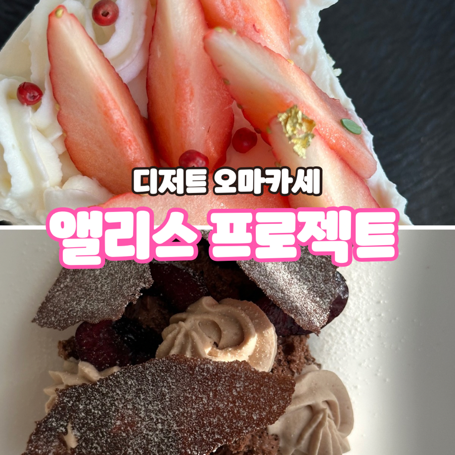 앨리스 프로젝트 이미지