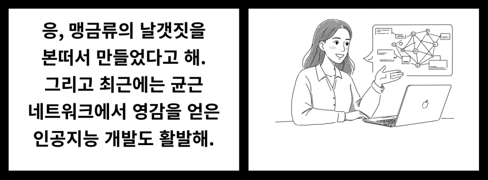 나무네트워크 이미지