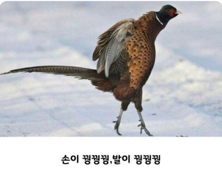 (주)이디원 이미지