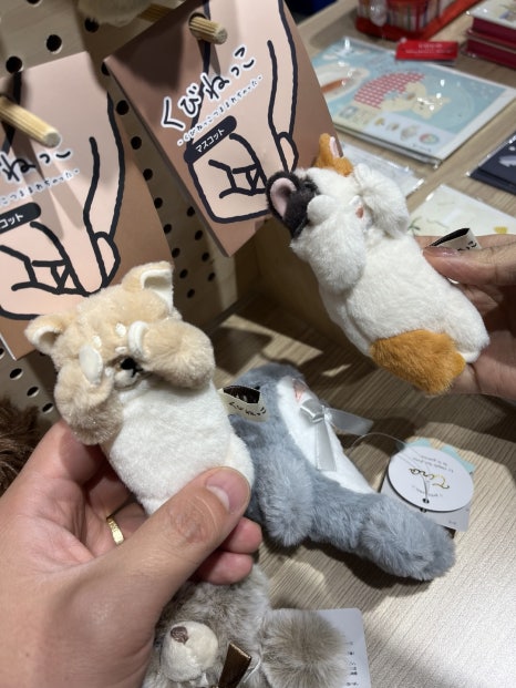 파인데이즈 이미지